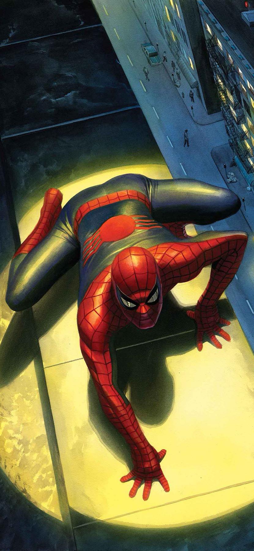 830x1800 Spider Man Wallpaper (Alex Ross)