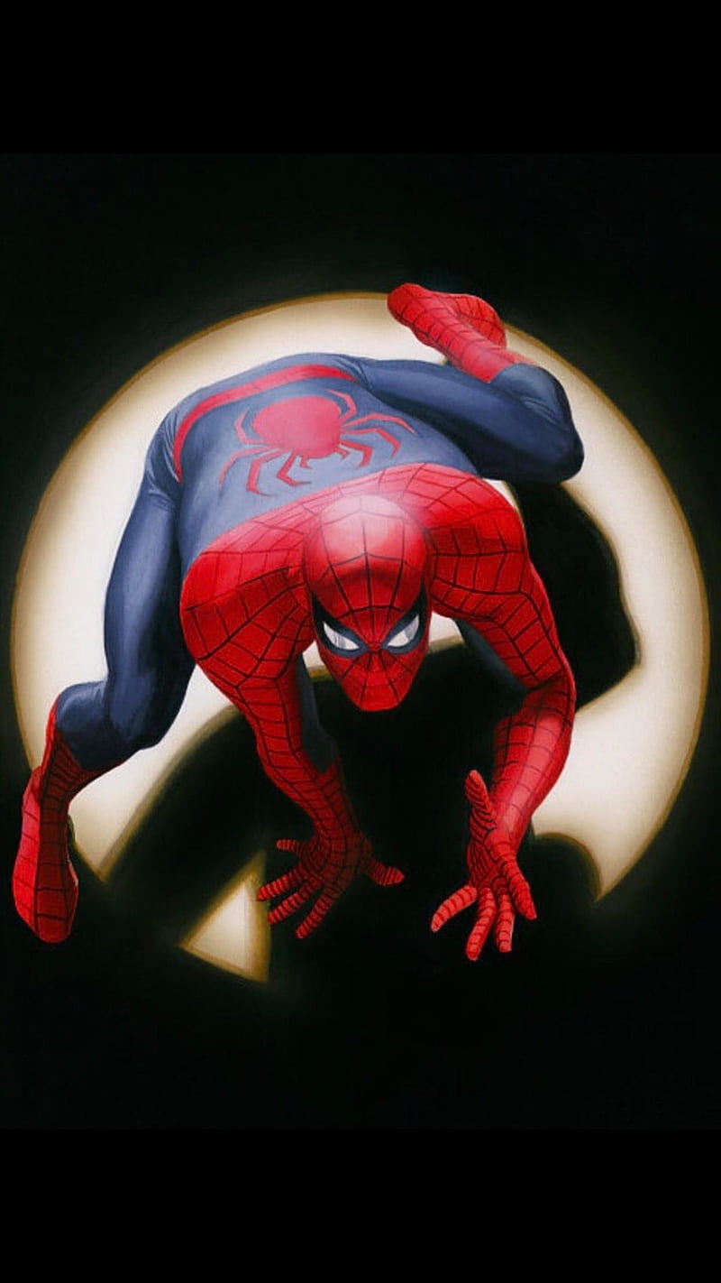 800x1422 Alex Ross Spiderman, alex ross, superhero, HD phone wallpaper