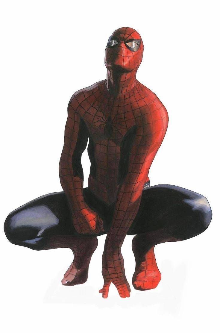 735x1112 Spider Man By Alex Ross