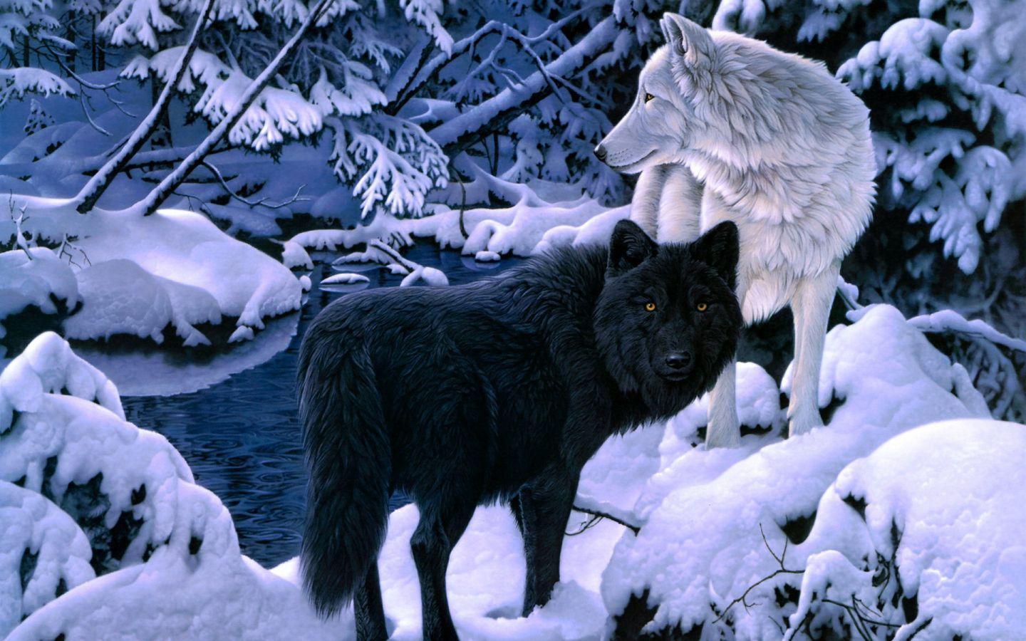 1440x900 Free download Wolf Wallpaper And Background HD 18182 Wallpaper HD [1920x1200] for your Desktop, Mobile & Tablet. Explore Wolf Christmas Wallpaper. Wolf Wallpaper, Wolf Image Free