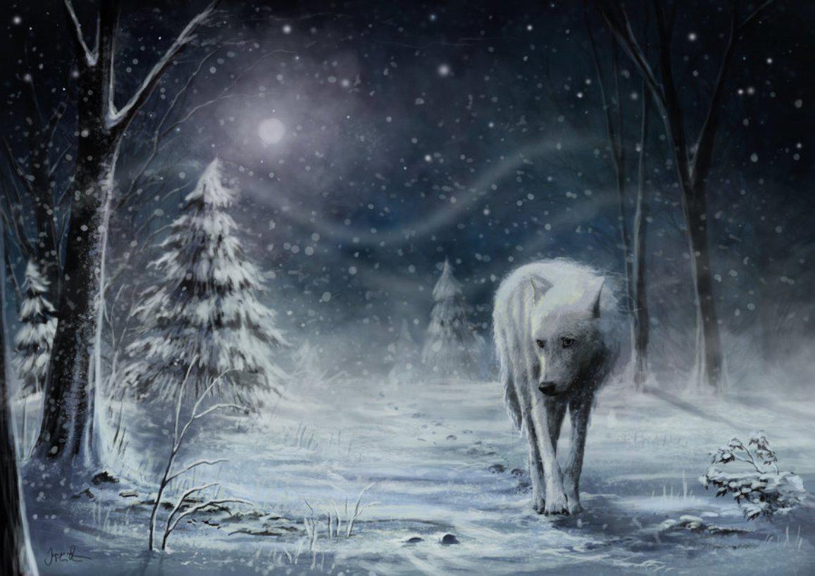 Christmas Wolf Wallpapers - Top Free Christmas Wolf Backgrounds