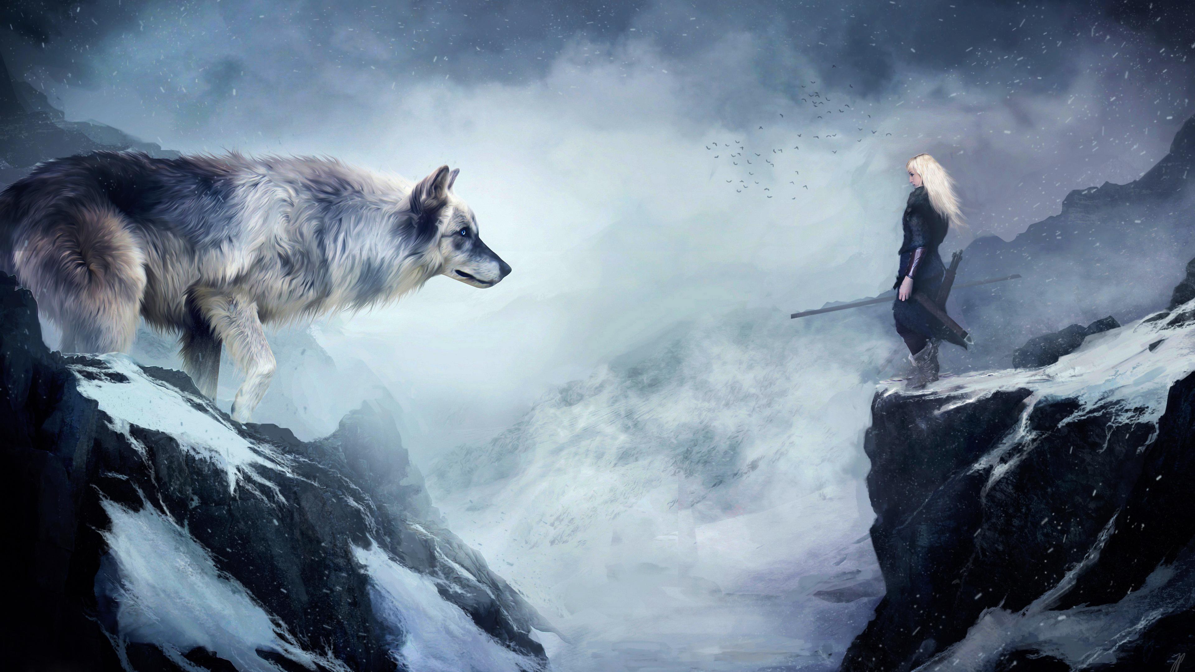 3840x2160 4K Wolf Wallpaper Free HD Wallpaper