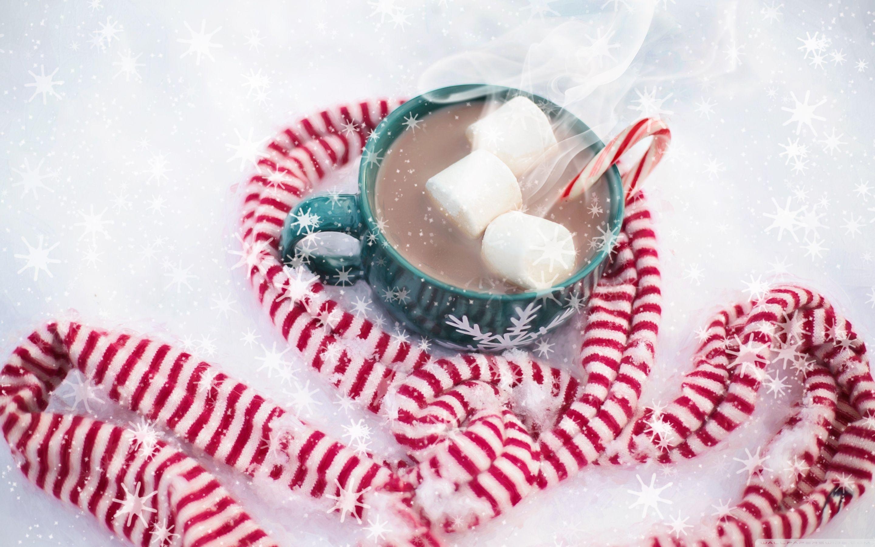 2880x1800 Download Christmas Hot Chocolate With Marshmallows UltraHD Wallpaper