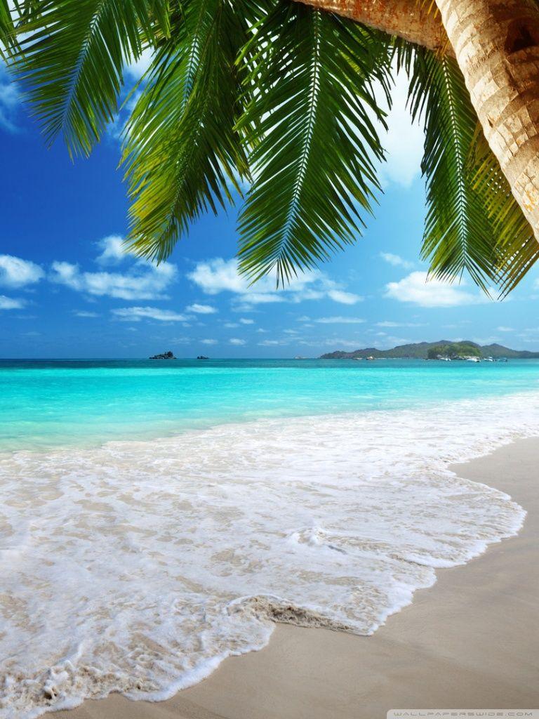 Caribbean iPhone Wallpapers - Top Free Caribbean iPhone Backgrounds ...