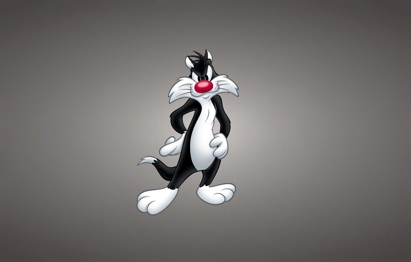 1332x850 Wallpaper Sylvester the Cat, Looney Tunes, The Cat Sylvester, Looney Tunes, Funny ringtones image for desktop, section фильмы