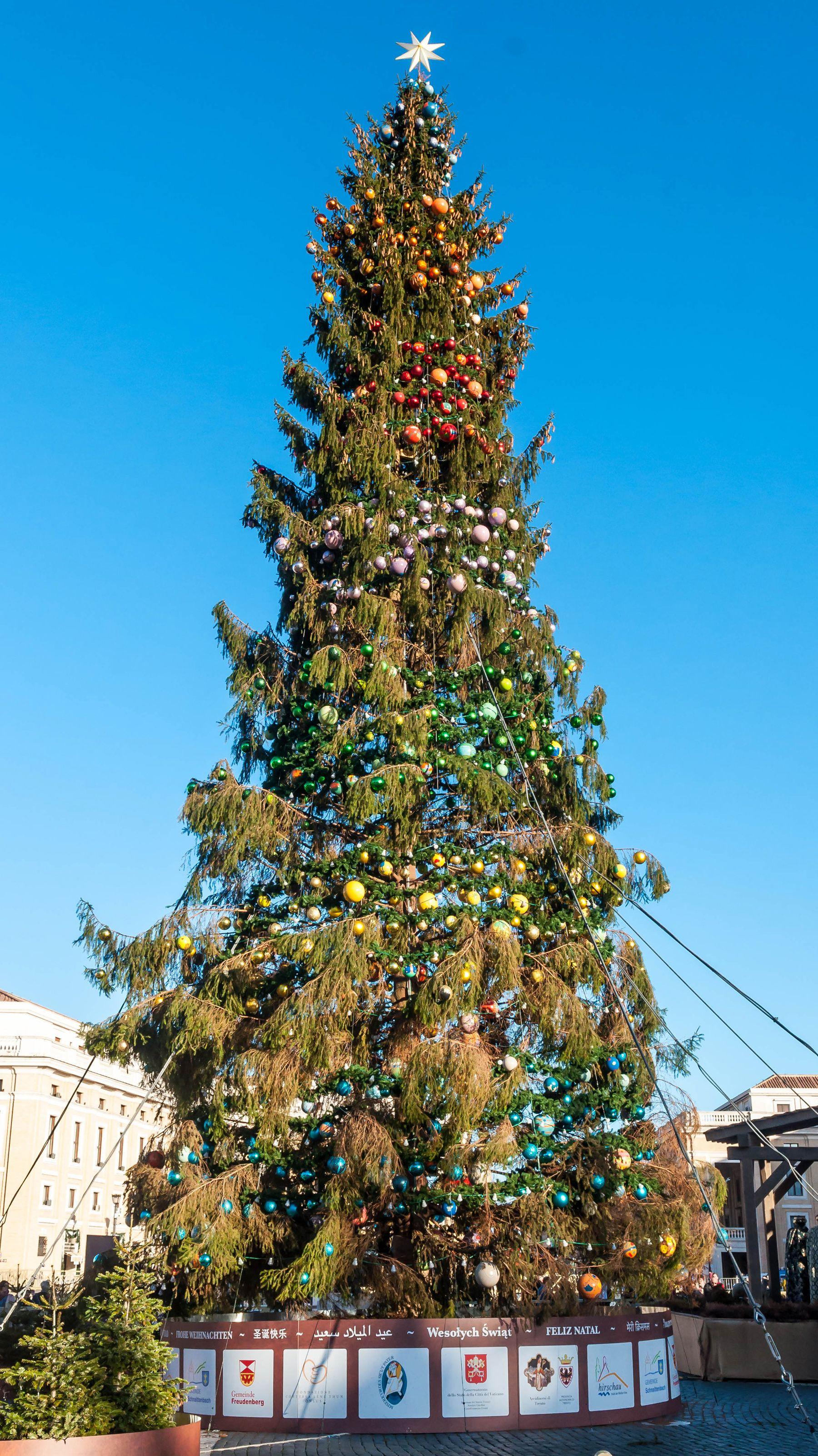 1800x3200 image Rome Italy New year Christmas tree Balls 1800x3200