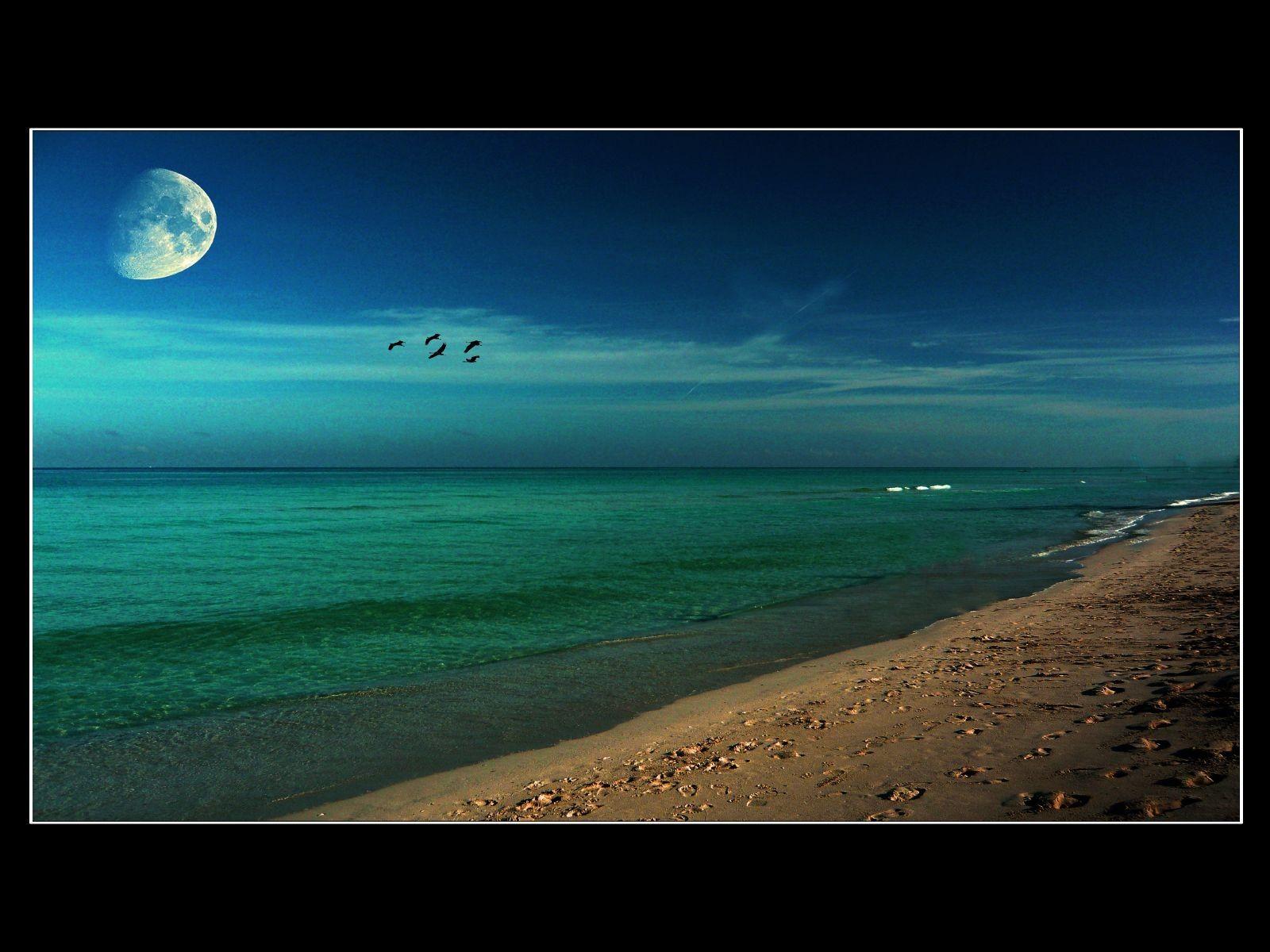1600x1200 Beach: Sunrise Caribbean Beach iPhone Wallpaper Tumblr HD 16:9 High