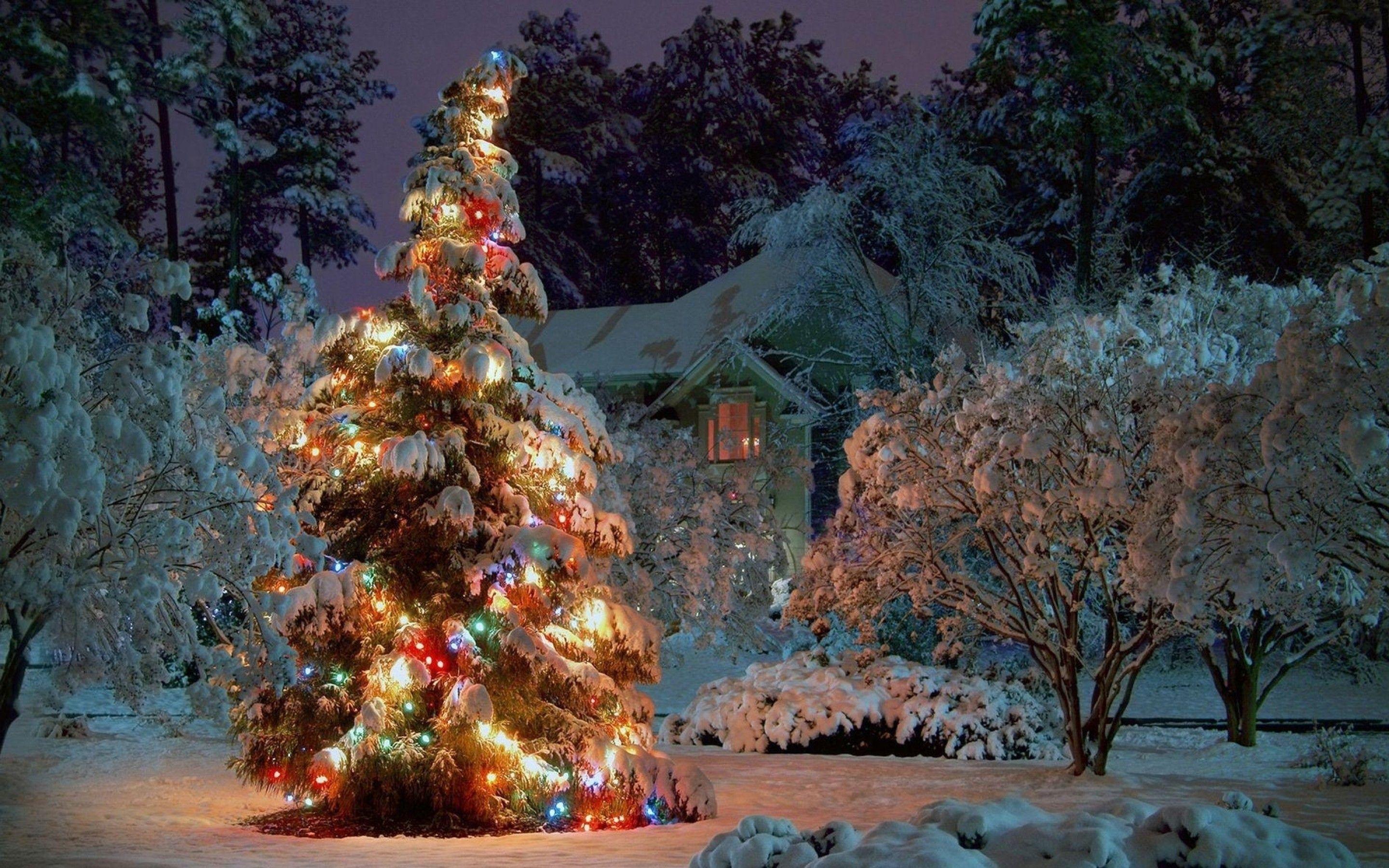 2880x1800 Christmas Background for Computer
