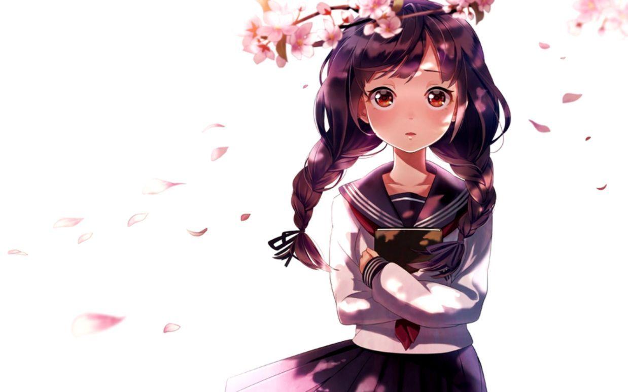 1238x773 Wallpaper Girl Flowers Branch Anime Petals Sakura Art Girl Wallpaper Anime Art