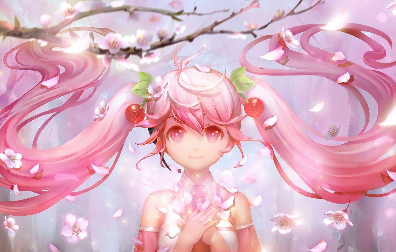 1332x850 Anime Sakura Wallpaper