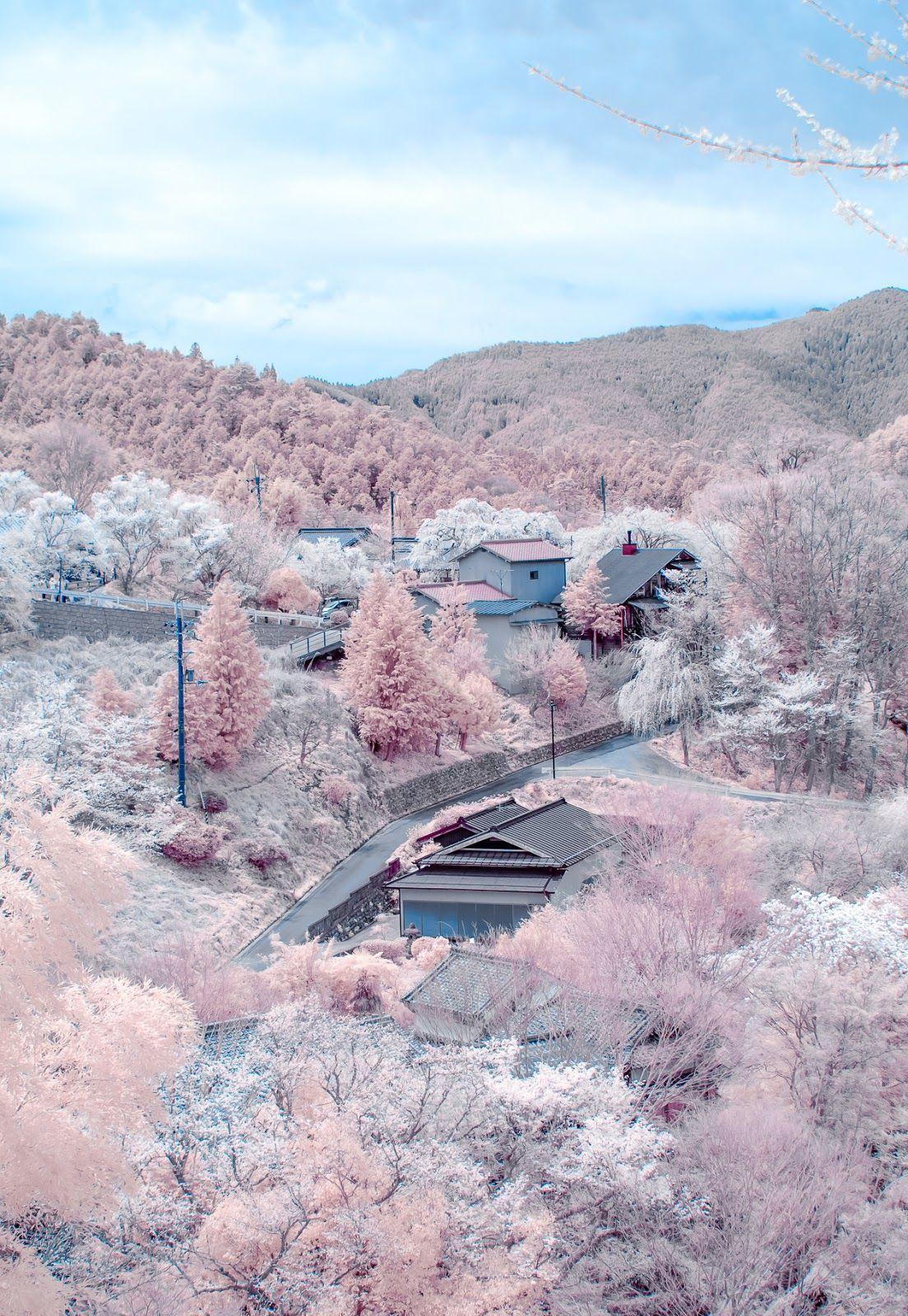 1104x1600 Yoshino, Nara, Japan cherry trees cover the mountain. 風景, 旅行, 景色