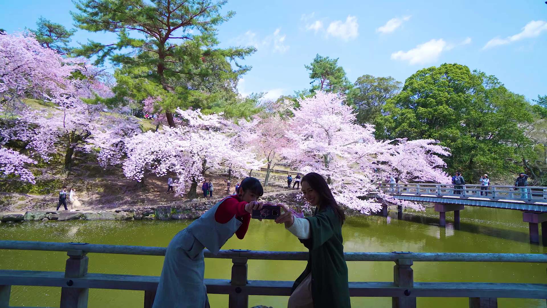 1920x1080 Seven Fabulous Cherry Blossom Spots, Accessible from Osaka by Train!. GOOD LUCK TRIP
