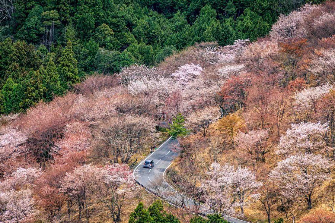 1110x740 Japan Countryside