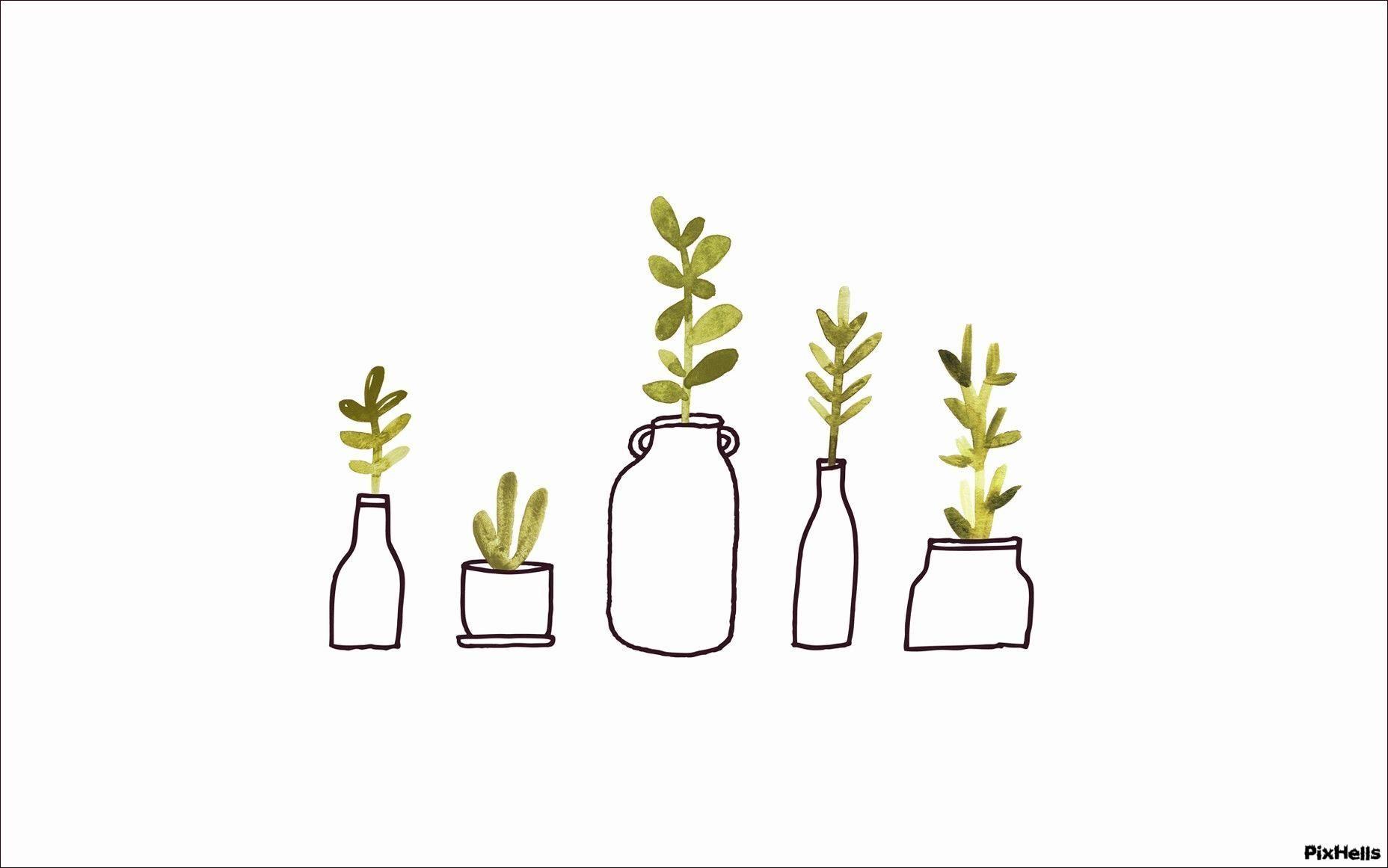 1856x1161 Tumblr Plants Wallpaper, 2020. Macbook air, Arkaplan tasarımları, Duvar kağıdı