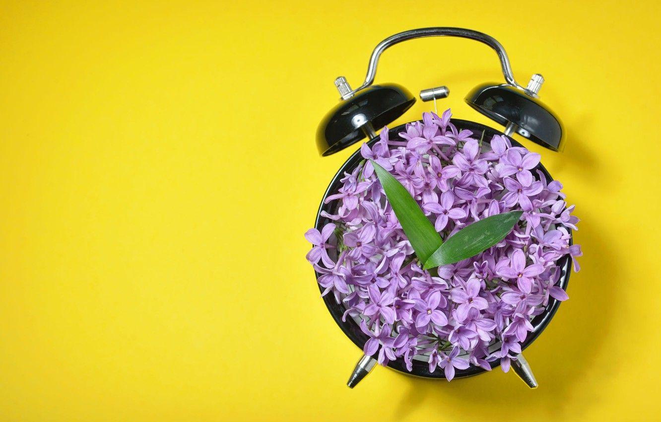 1332x850 Wallpaper flowers, yellow, background, arrows, watch, minimalism, petals, alarm clock, leaves, dial, lilac image for desktop, section минимализм