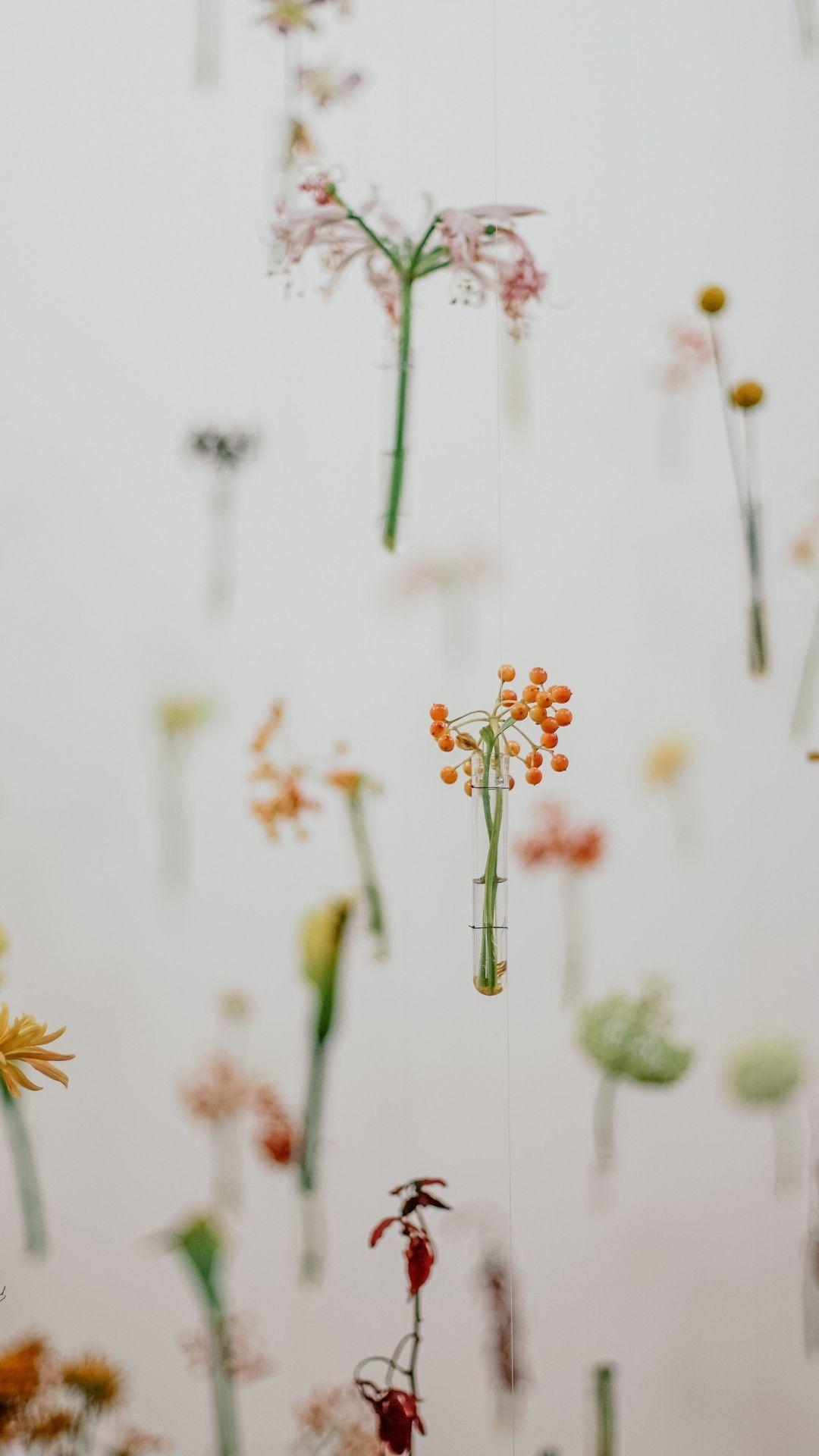 1080x1920 Flower Wallpaper Minimalist