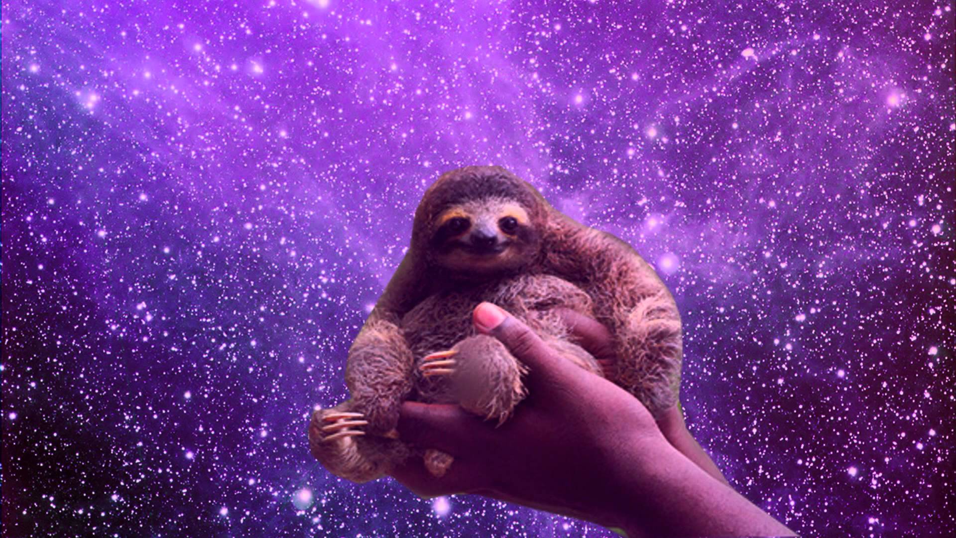 1920x1080 Sloth Astronaut Wallpaper