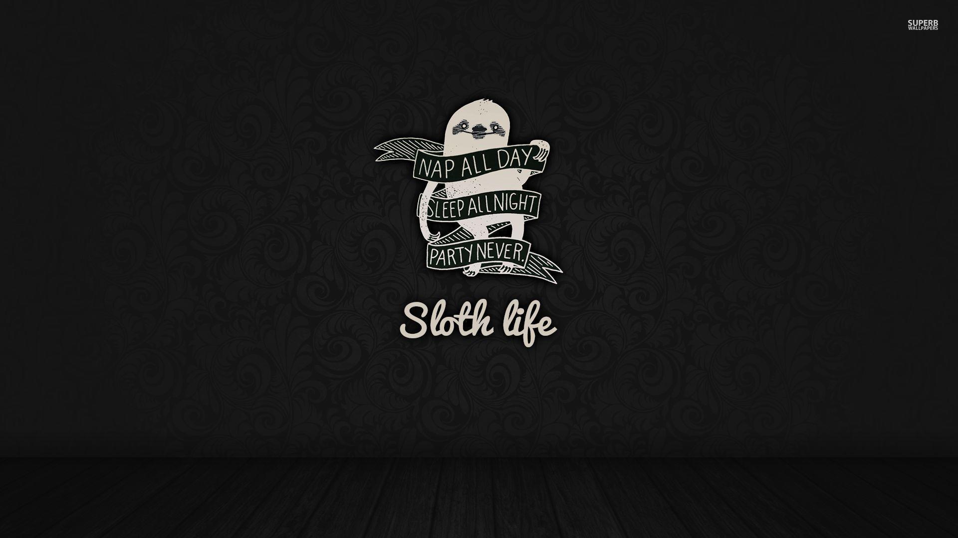 1920x1080 Sloth life wallpaper wallpaper - #. Sloth life, Funny wallpaper, Code wallpaper