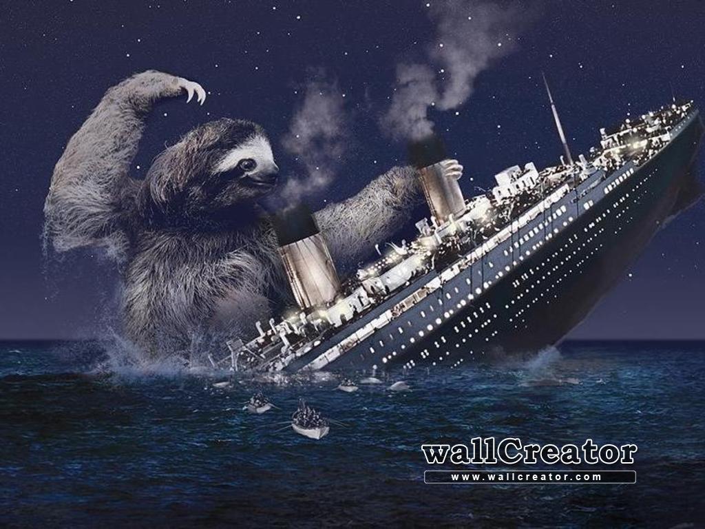 Funny Sloth Wallpapers - Top Free Funny Sloth Backgrounds - WallpaperAccess