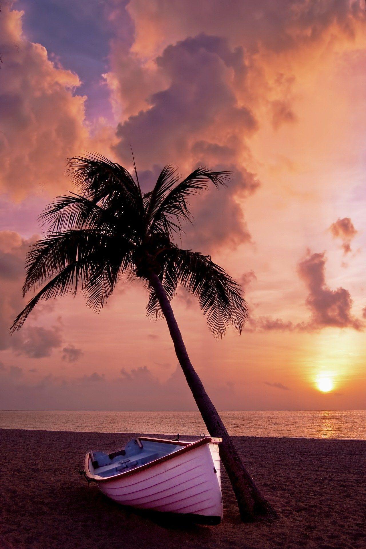 1280x1920 Best IOS 14 Wallpaper Ideas For Your Home Screen Aesthetic