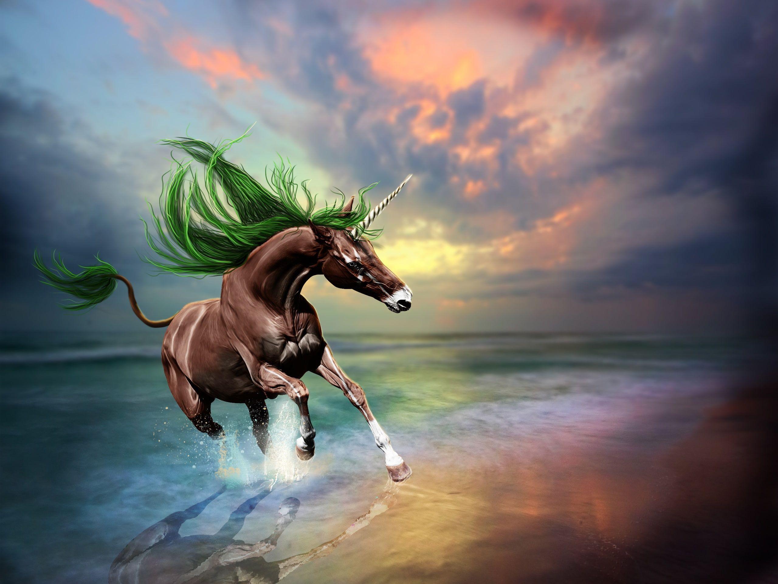 2560x1920 Unicorn Wallpaper • Creative design picture, brown unicorn wallpaper, beach, sunset • Wallpaper For You The Best Wallpaper For Desktop & Mobile