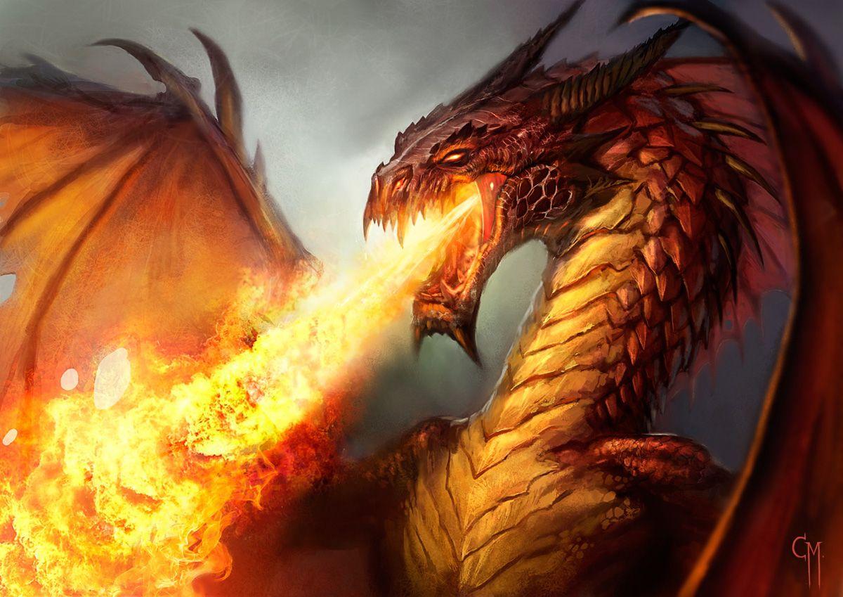 1200x849 Dragon Image wallpaper and Picture
