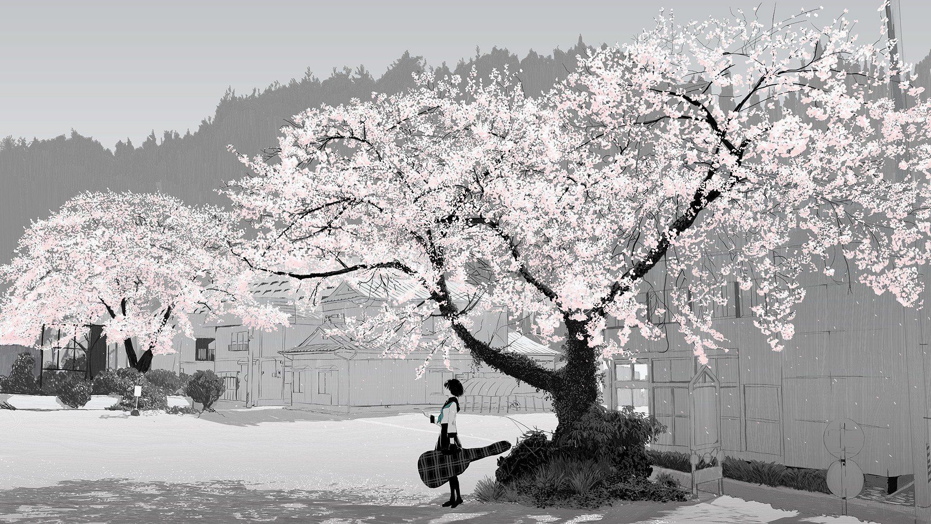 1920x1080 Cherry Winter Wallpaper