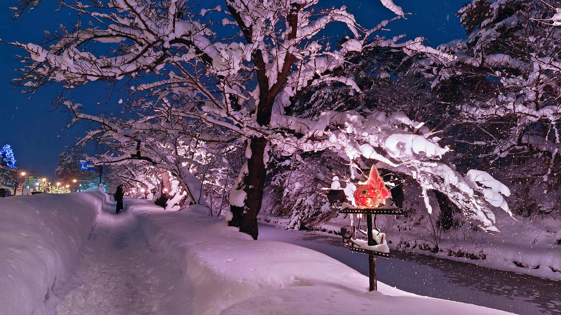 1920x1080 Iwafu Cherry Blossom Illumination｜Tohoku Aomori｜Japan Events Calendar: Real Time Local Festivals & Gems