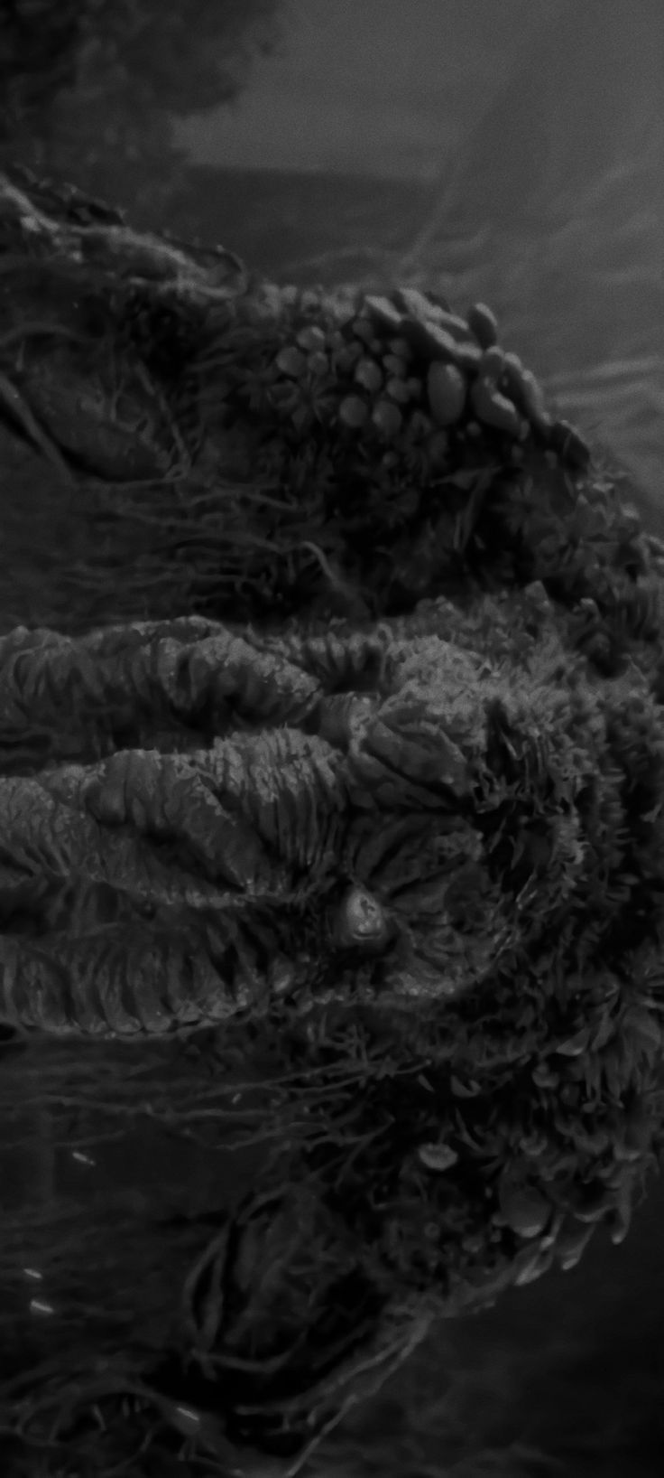736x1636 Man Thing Wallpaper