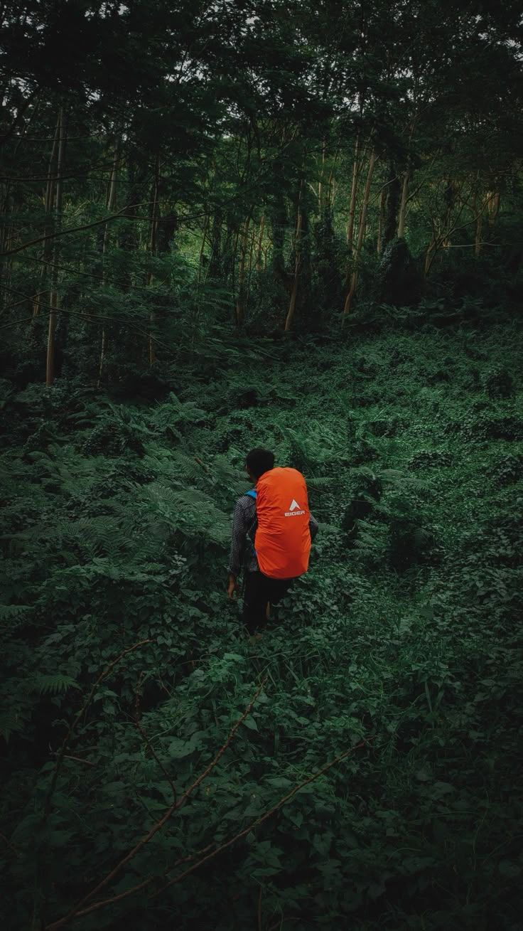 736x1309 Pendaki gunung aesthetic. Gunung bromo indonesia, Foto pendaki, Hutan