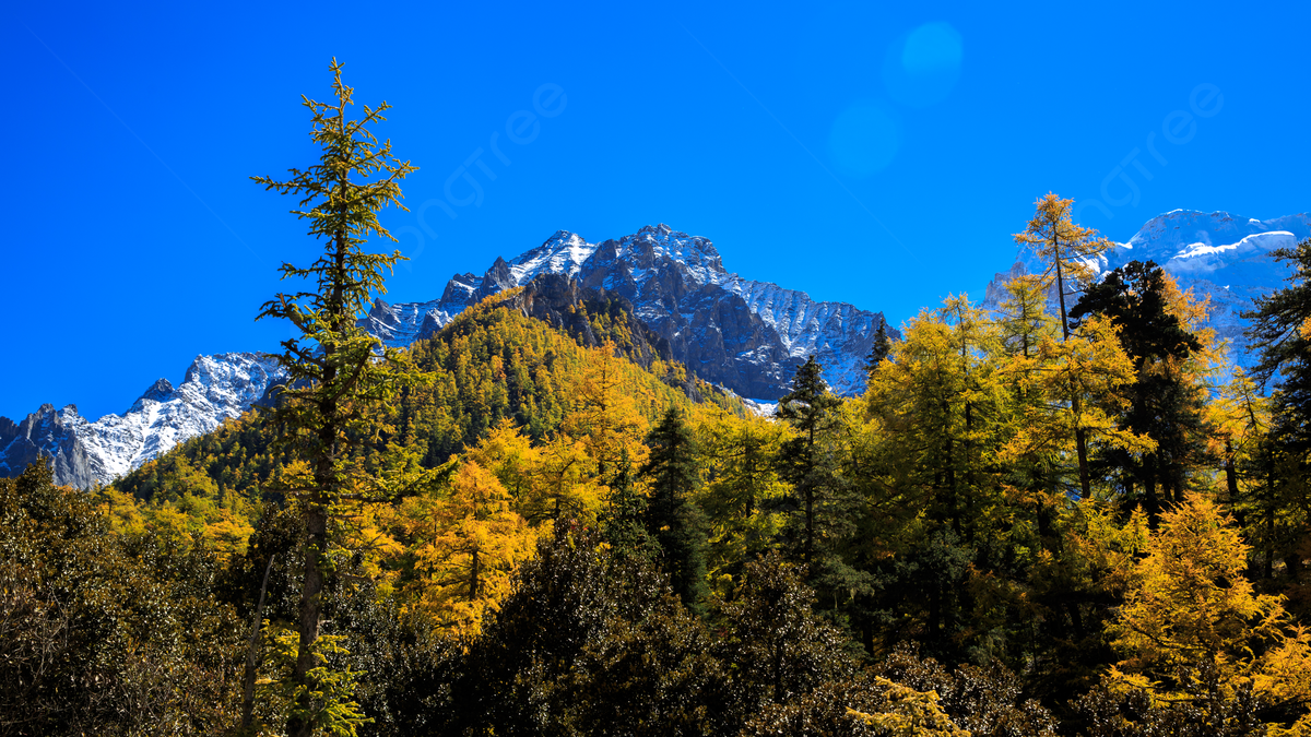 1200x675 The Holy Mountain Of Tibet, Autumn High, Tibetan Land, Sacred Mountain Background Image And Wallpaper for Free Download