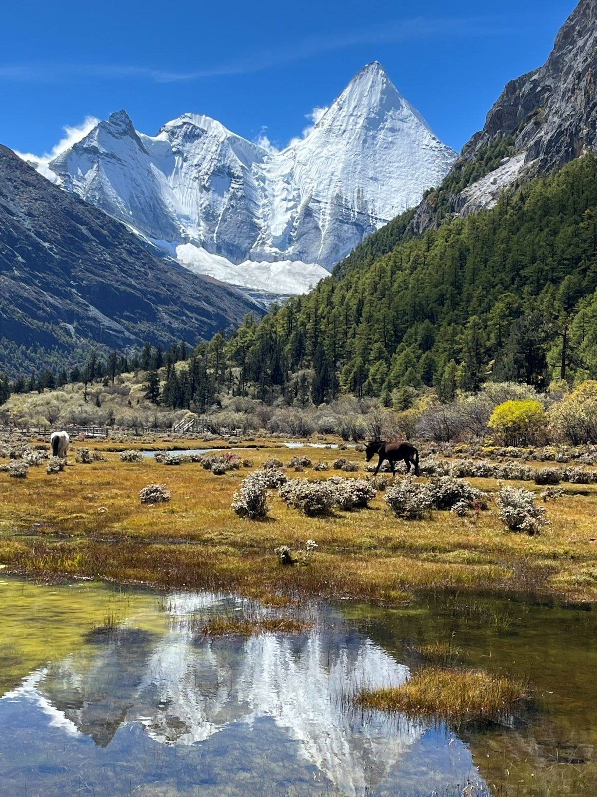 1224x1632 Los Alamos Mountaineers 'Trekking In Western China: Tibet's Kama Valley & Sichuan's Holy Mountains' At July 28 Meeting Alamos Daily Post