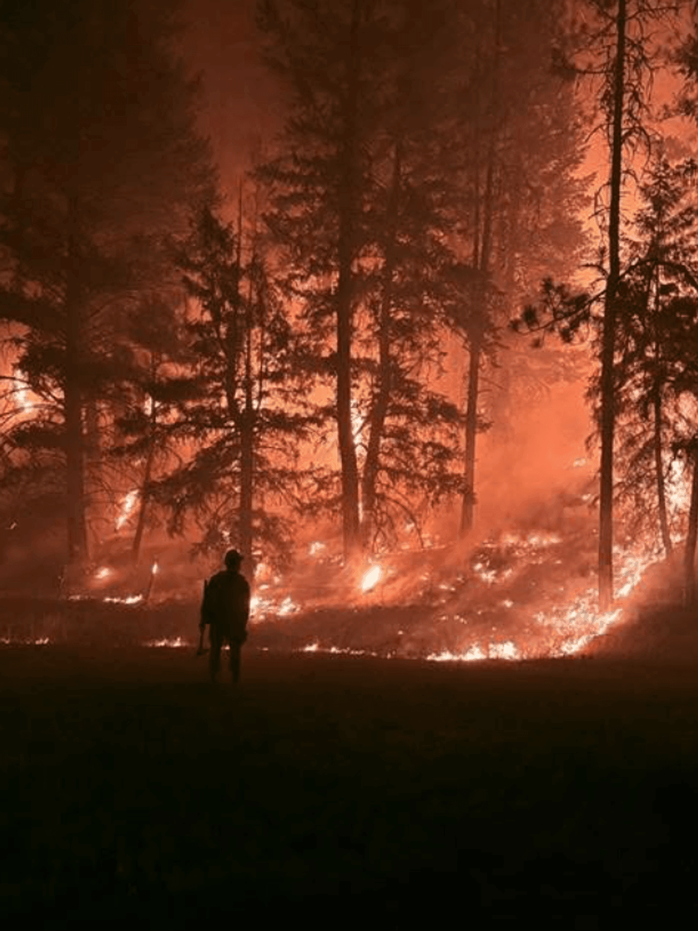 1440x1920 Nationwide, 83 new wildfires reported as crews battle 97 large blazes; 3 killed