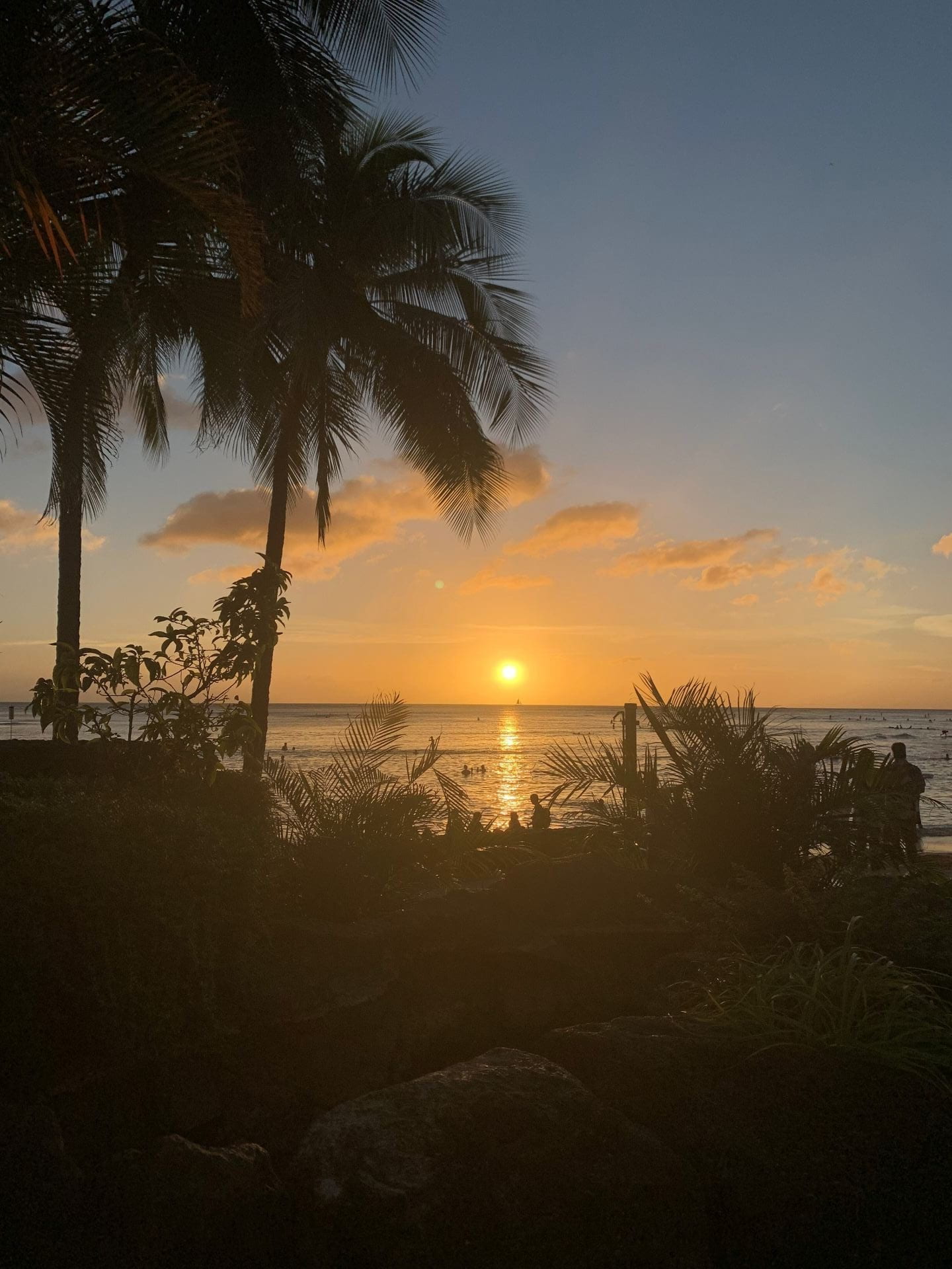 1440x1920 Hawaii: We Are All Connected. UD Abroad Blog