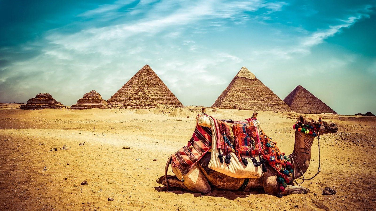 1600x900 Camel At Giza Pyramid Of Khufu Or Cheops Pyramid Oldest And Largest Of The Three Pyramids In Giza Complex Egypt Desktop Wallpaper HD 1920x1080 :