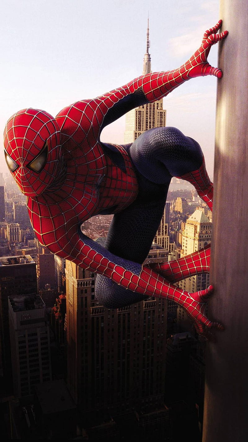 800x1422 HD tobey maguire spiderman wallpaper