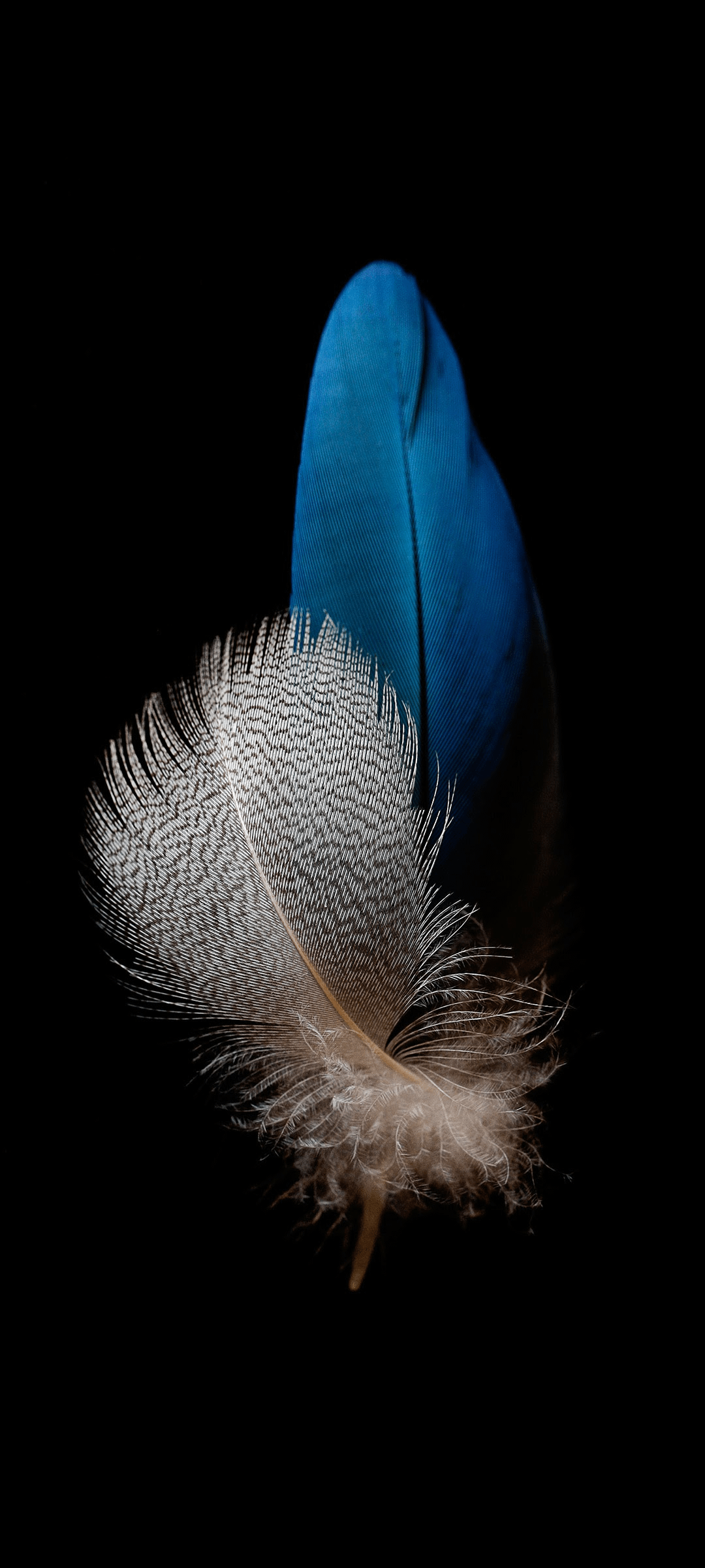 1080x2400 Old Huawei wallpaper made longer for 20:9 screens