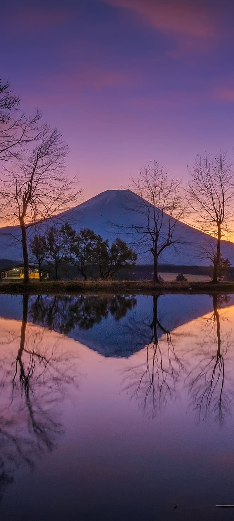 800x1778 Japan Lake House Resolution, Nature, , and Background, 1080x2400 Japan, HD phone wallpaper