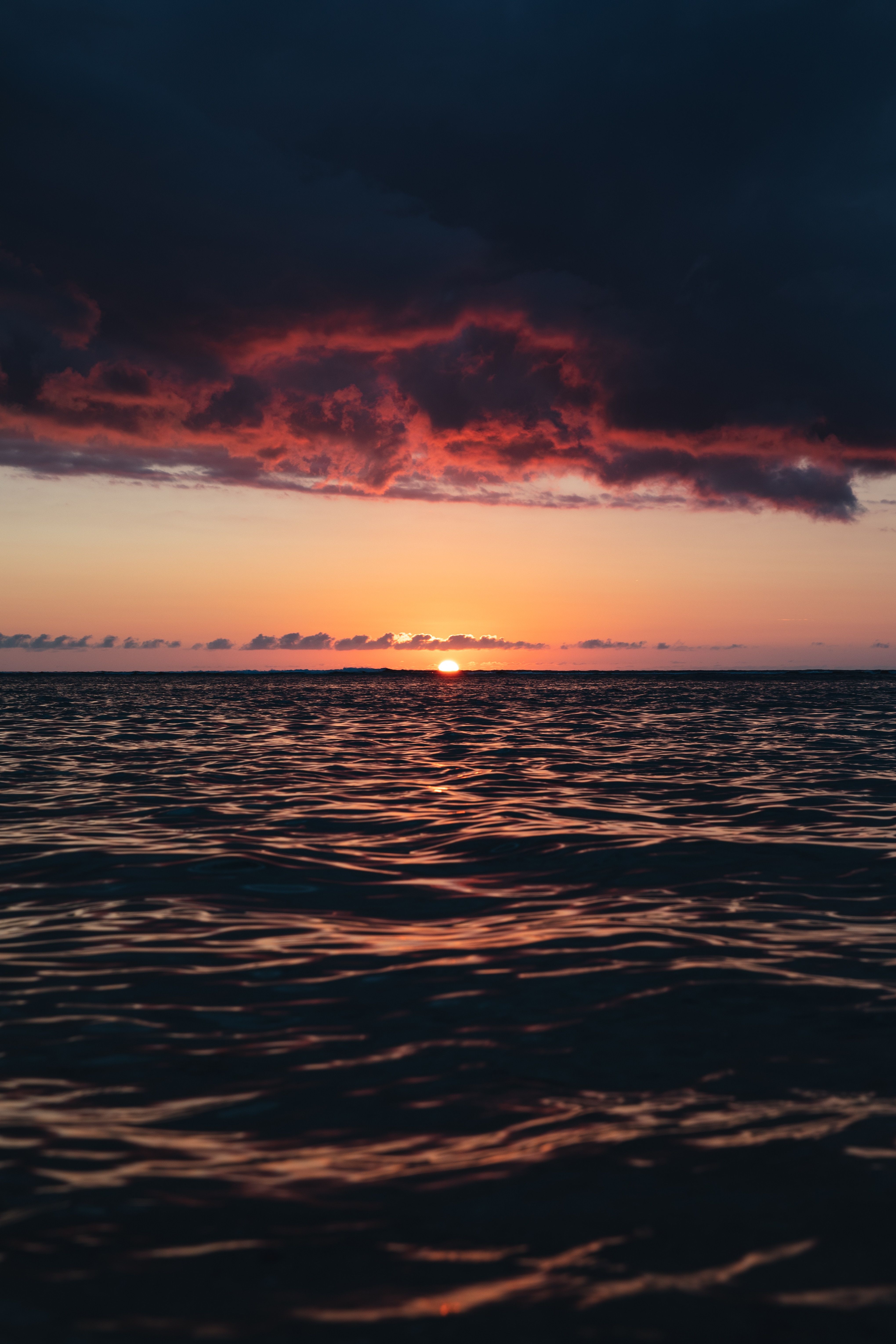 4079x6117 wallpaper for your phone. Download free picture 1080 x 2400 for mobile