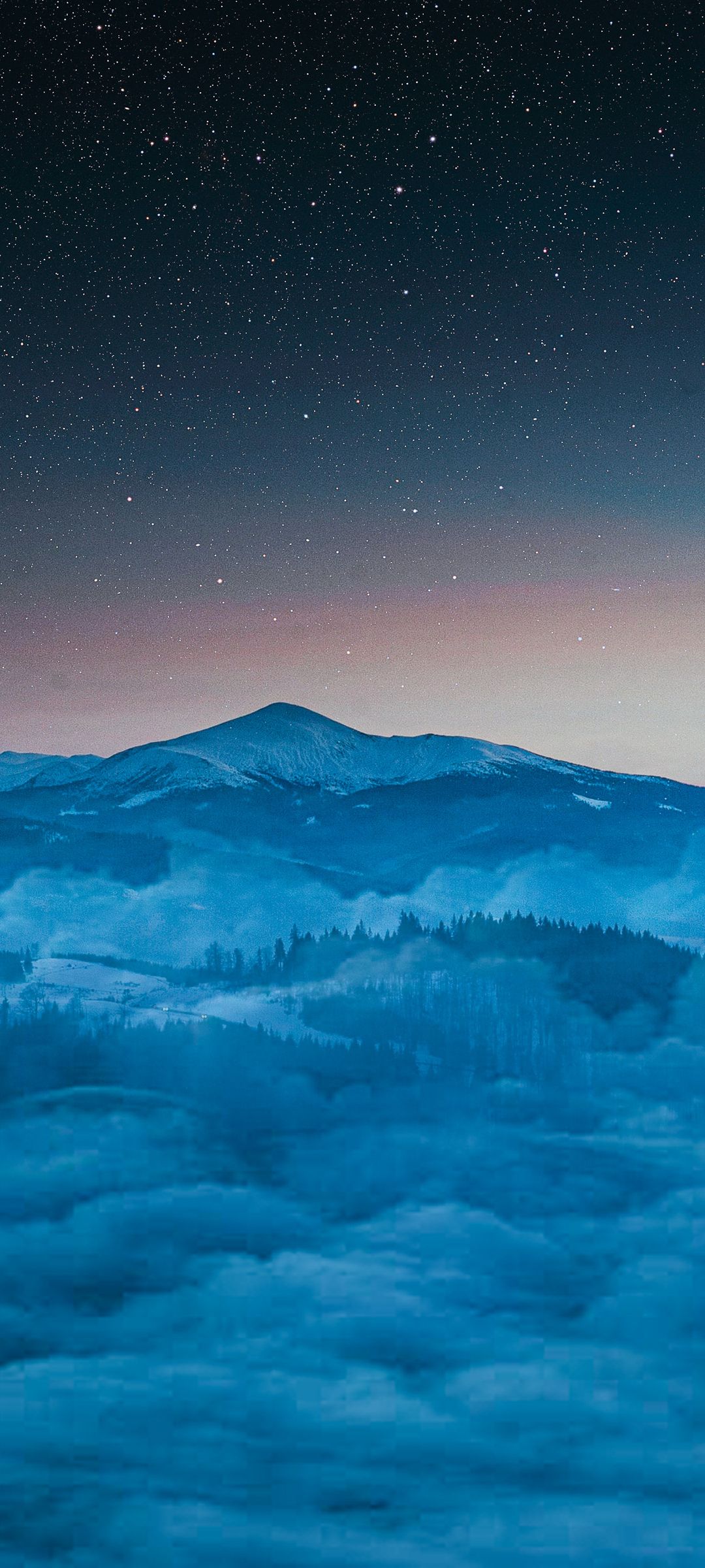 1080x2400 Download Scenery, Beautiful nature, Forest, Sky, Sunset, Sunrise Wallpaper in 1080x2400 Resolution