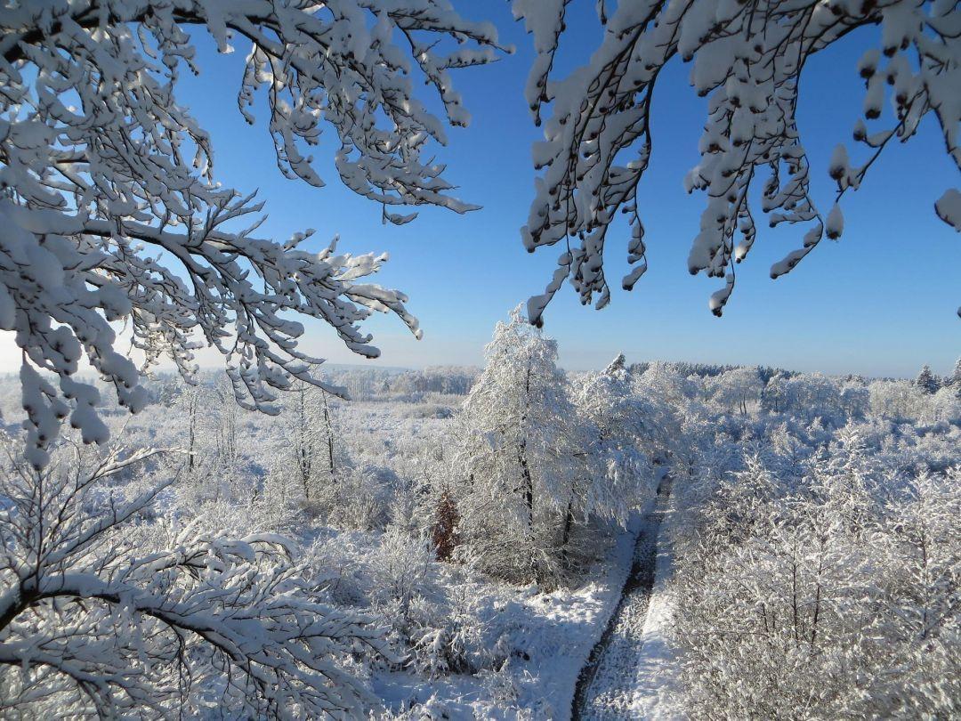 1080x810 Aesthetic Winter iPhone Wallpaper HD