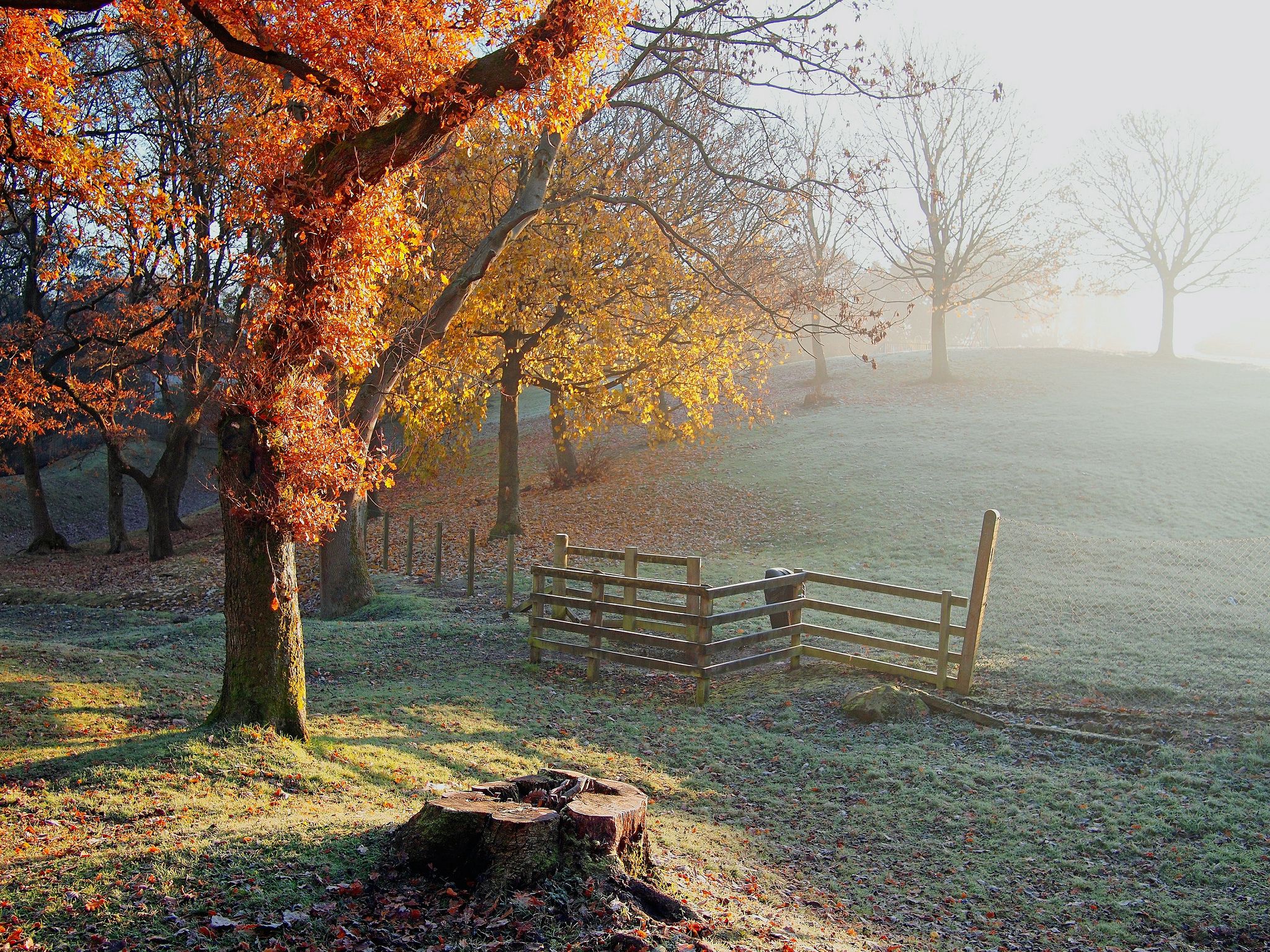 2048x1536 hill, Trees, Fence, Stump, Frost, Frost, Autumn Wallpaper HD / Desktop and Mobile Background