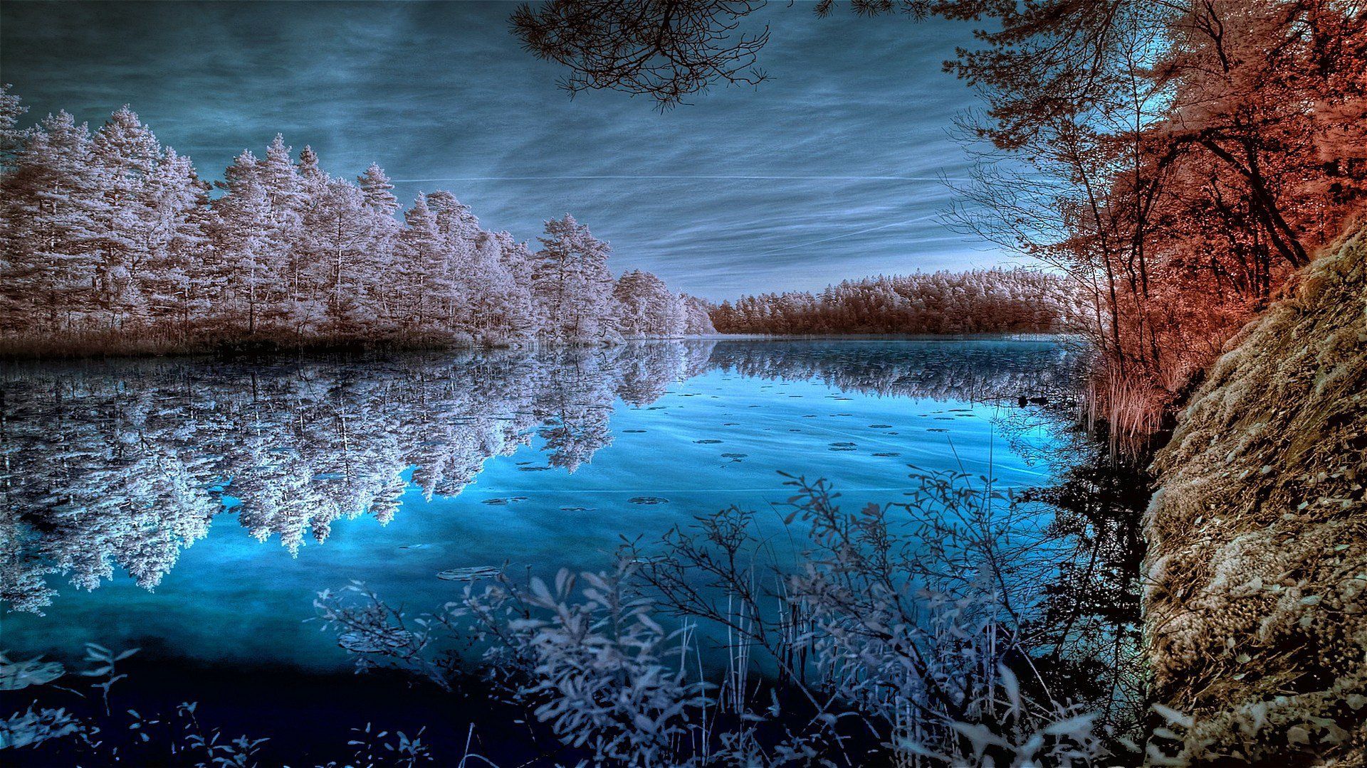 1920x1080 pond, Trees, Lake, Forest, Surface, Pond, Beach, Winter, Autumn, Frost, Reflection Wallpaper HD / Desktop and Mobile Background