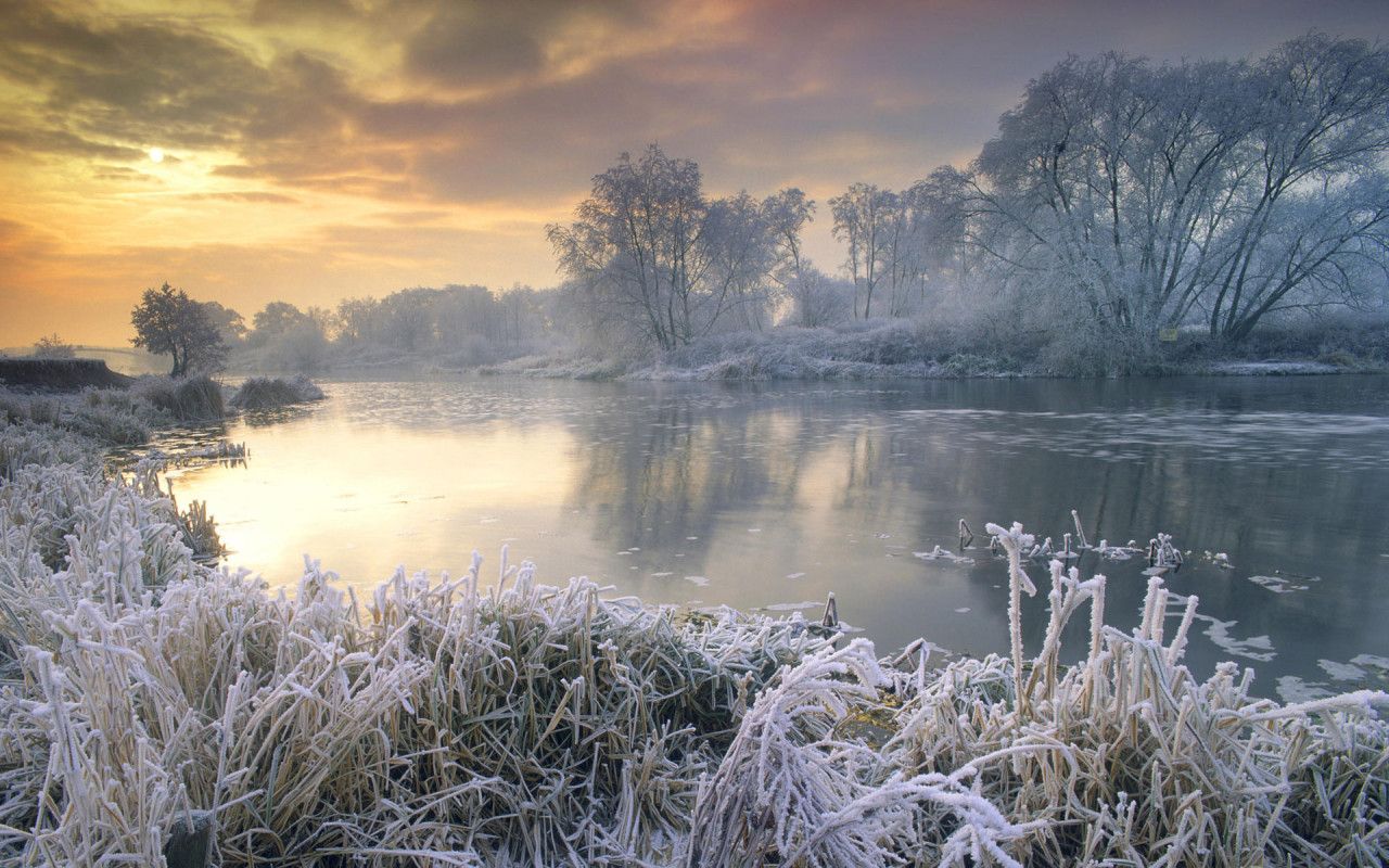 1280x800 Surprised by Beauty: Frosty Mornings
