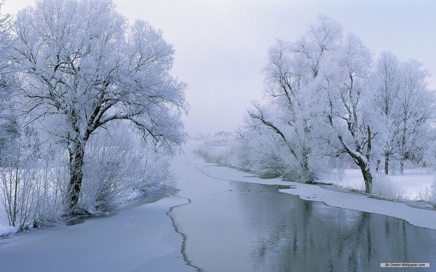 1440x900 Winter Wonderland Desktop Wallpaper