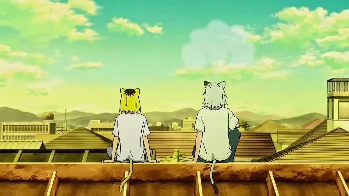 1200x675 I'm searching for Chainsmoker Cat wallpaper