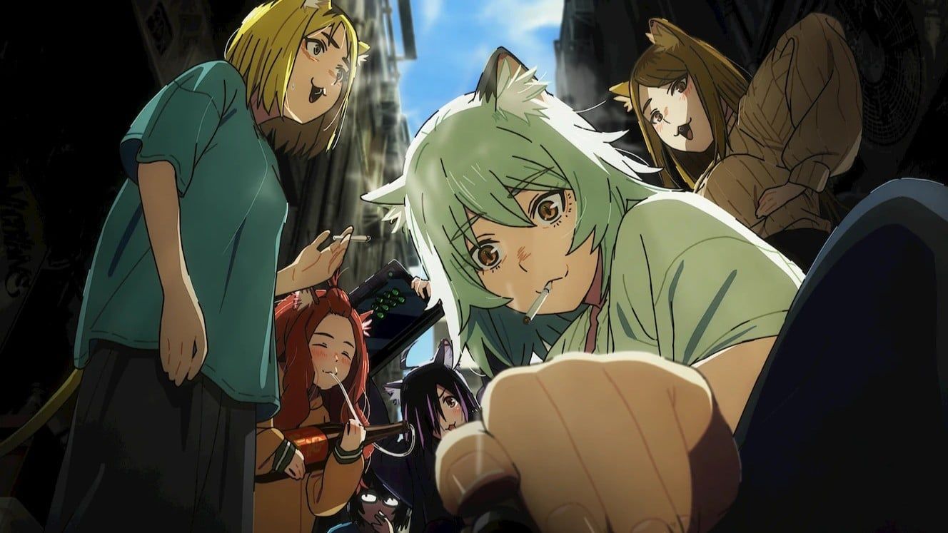 1328x747 Chainsmoker Cat Investigated For 'Illegal Drug Use' Depictions