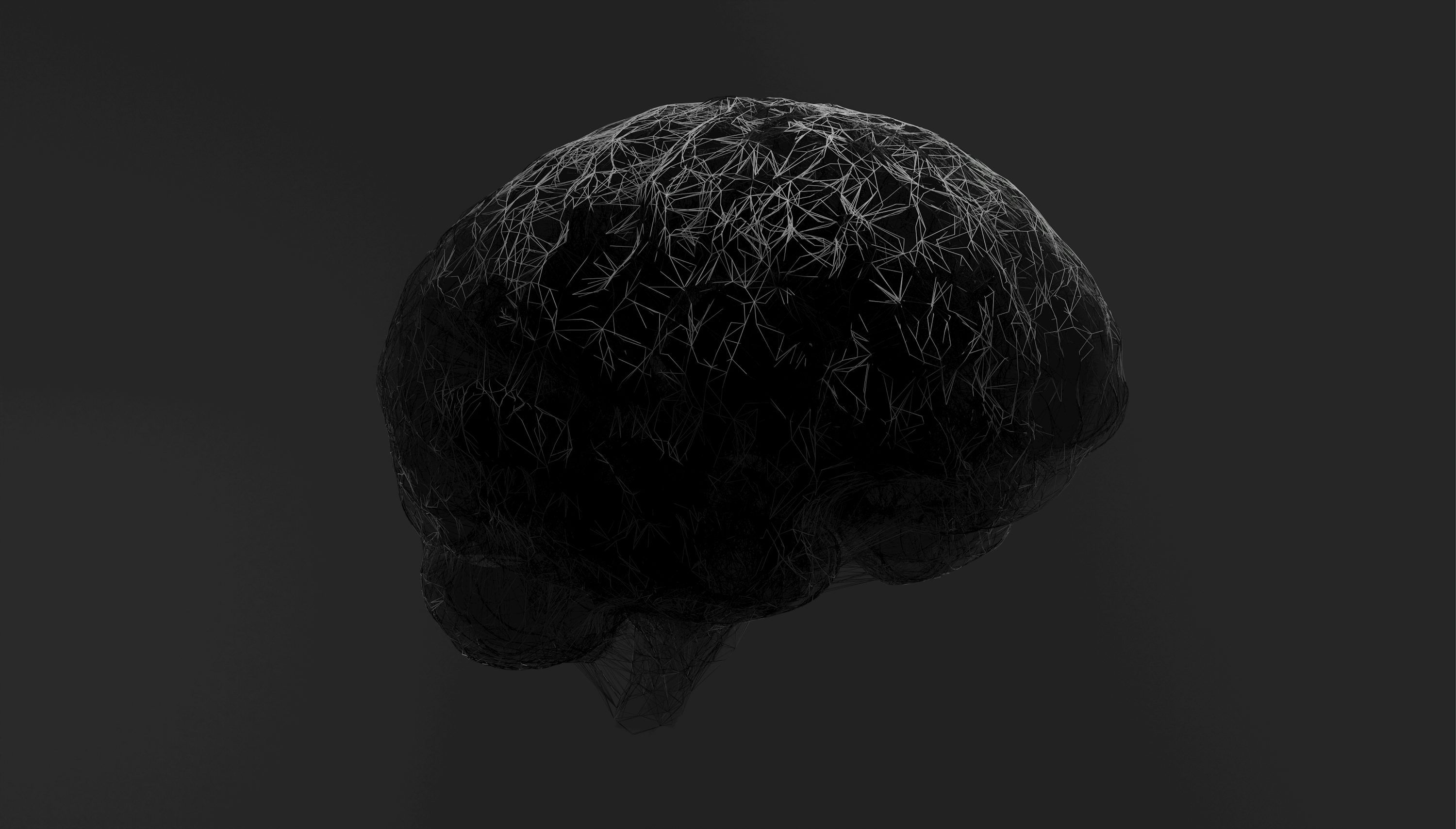 3000x1710 A black and white photo of a brain