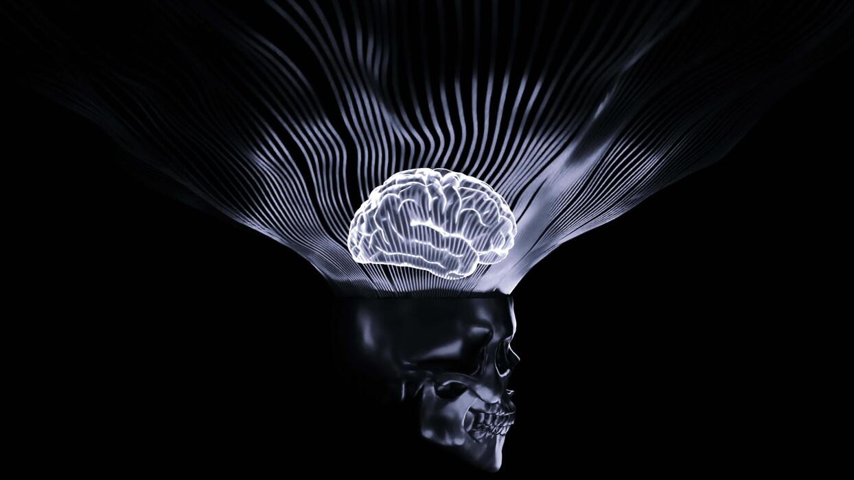 1244x700 Brain Background Stock Video Footage for Free Download