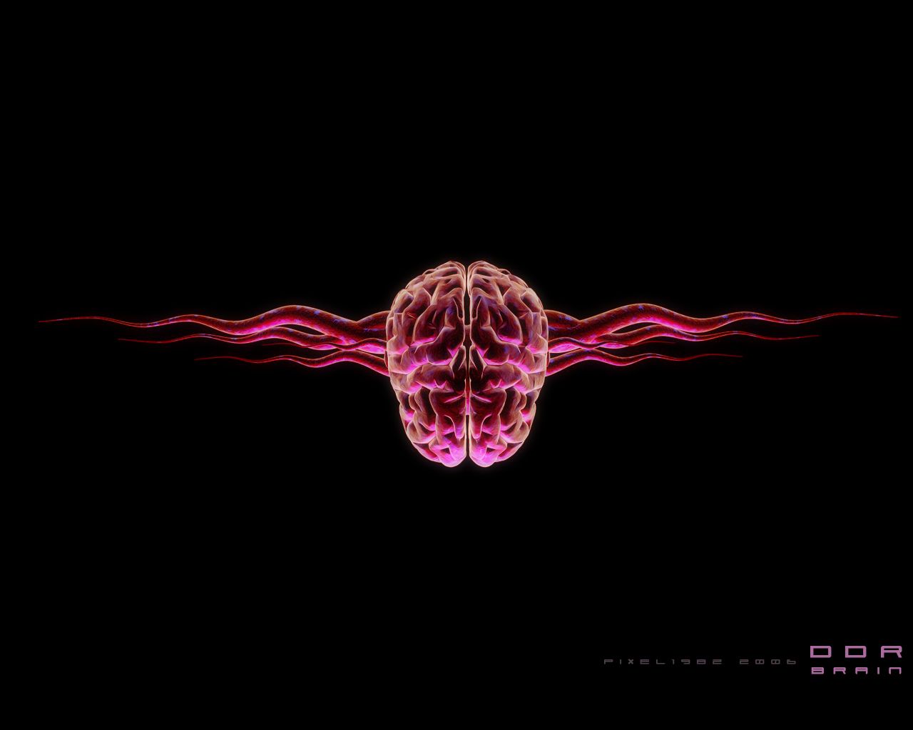 1280x1024 Phone wallpaper: Brain, Anatomy, Artistic 1518972